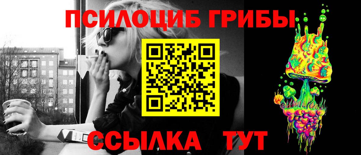 Знаменск  Псилоцибиновые грибы Psilocybe  Псилоцибиновые грибы Magic Shrooms  Вход с VPN 