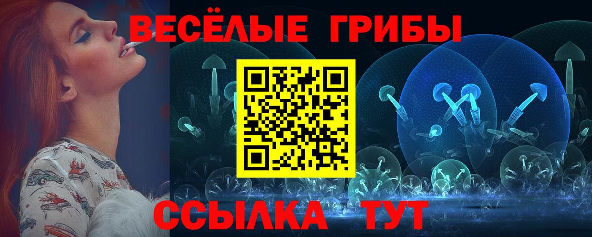 Галлюциногенные грибы мицелий Знаменск